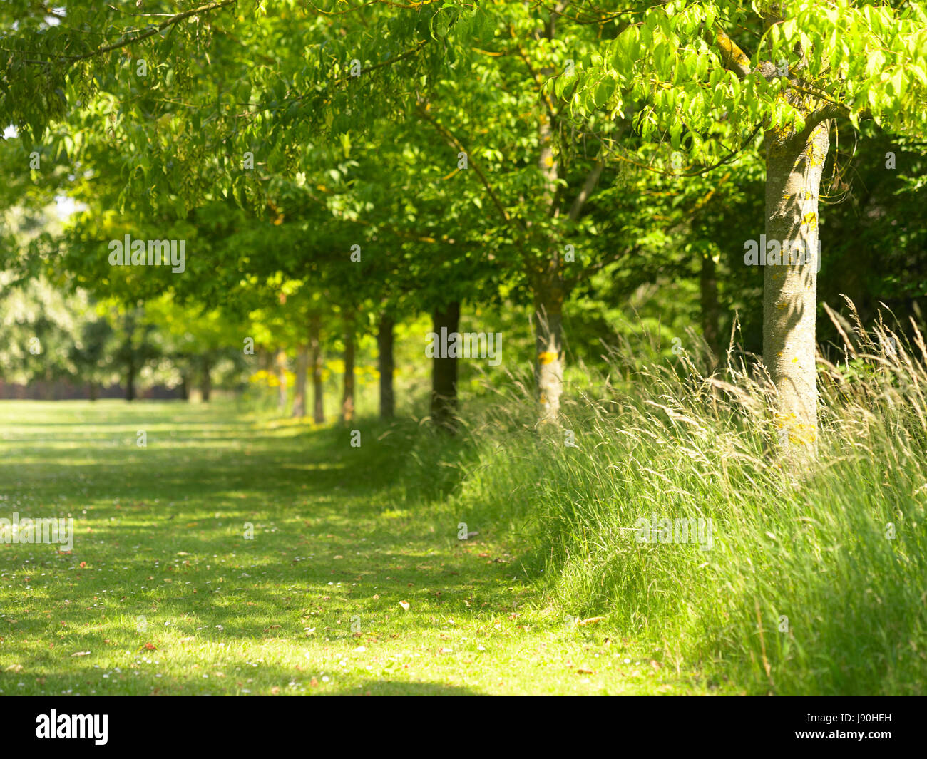 Braeburn park hires stock photography and images Alamy