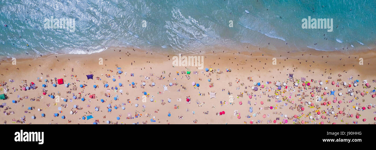 Aerial top down view miami hi-res stock photography and images - Alamy