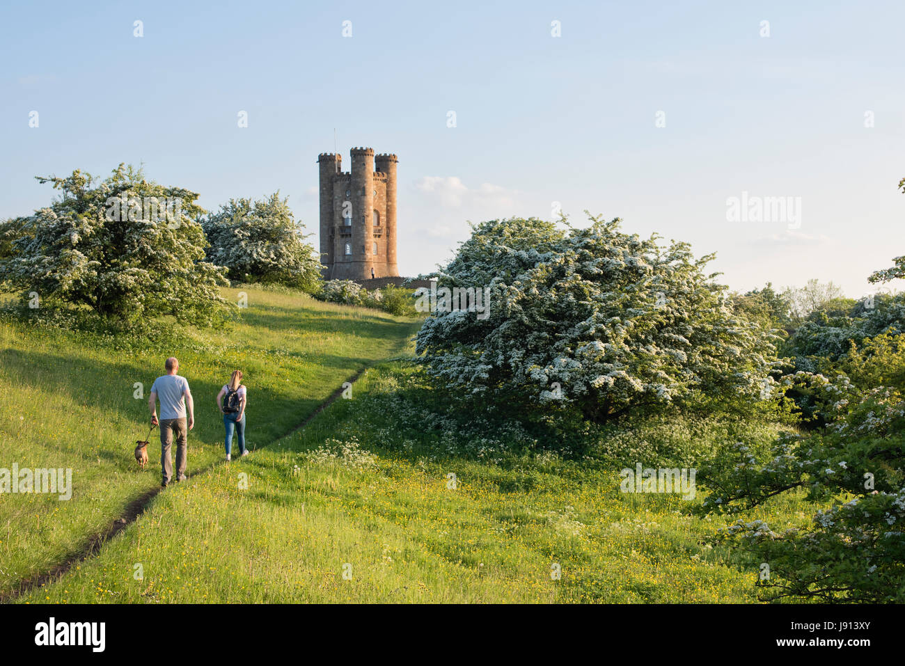 People walking a dog along the cotswold way towards Broadway Tower in the evening in May. Broadway, Cotswolds, Worcestershire, England Stock Photo