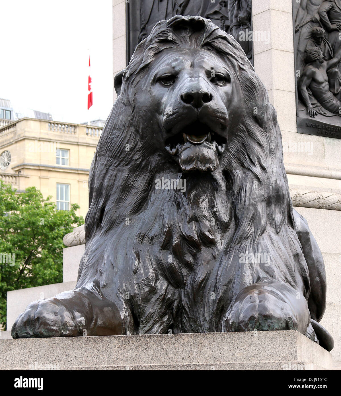 May 30, 2017 - One of the statues of four lions in Trafalgar Square, surrounding Nelson's Column, which are commonly known as the ÔLandseer LionsÕ aft Stock Photo