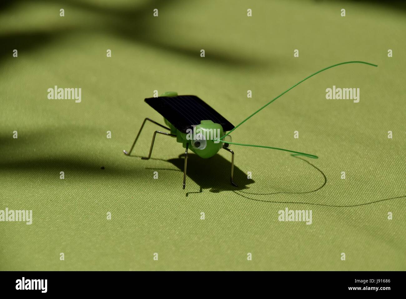 Solar powered toy on the green artificial surface with the little shades Stock Photo