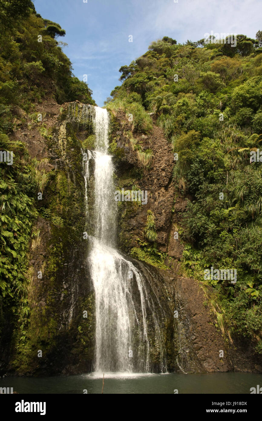 bridal veil falls,raglan,new zealand Stock Photo Alamy
