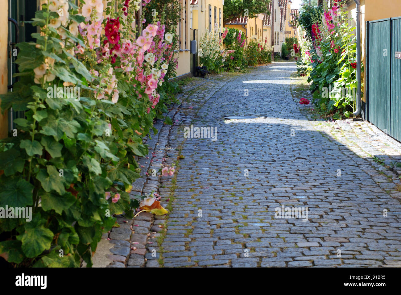 house, building, beautiful, beauteously, nice, travel, houses, city, town, Stock Photo