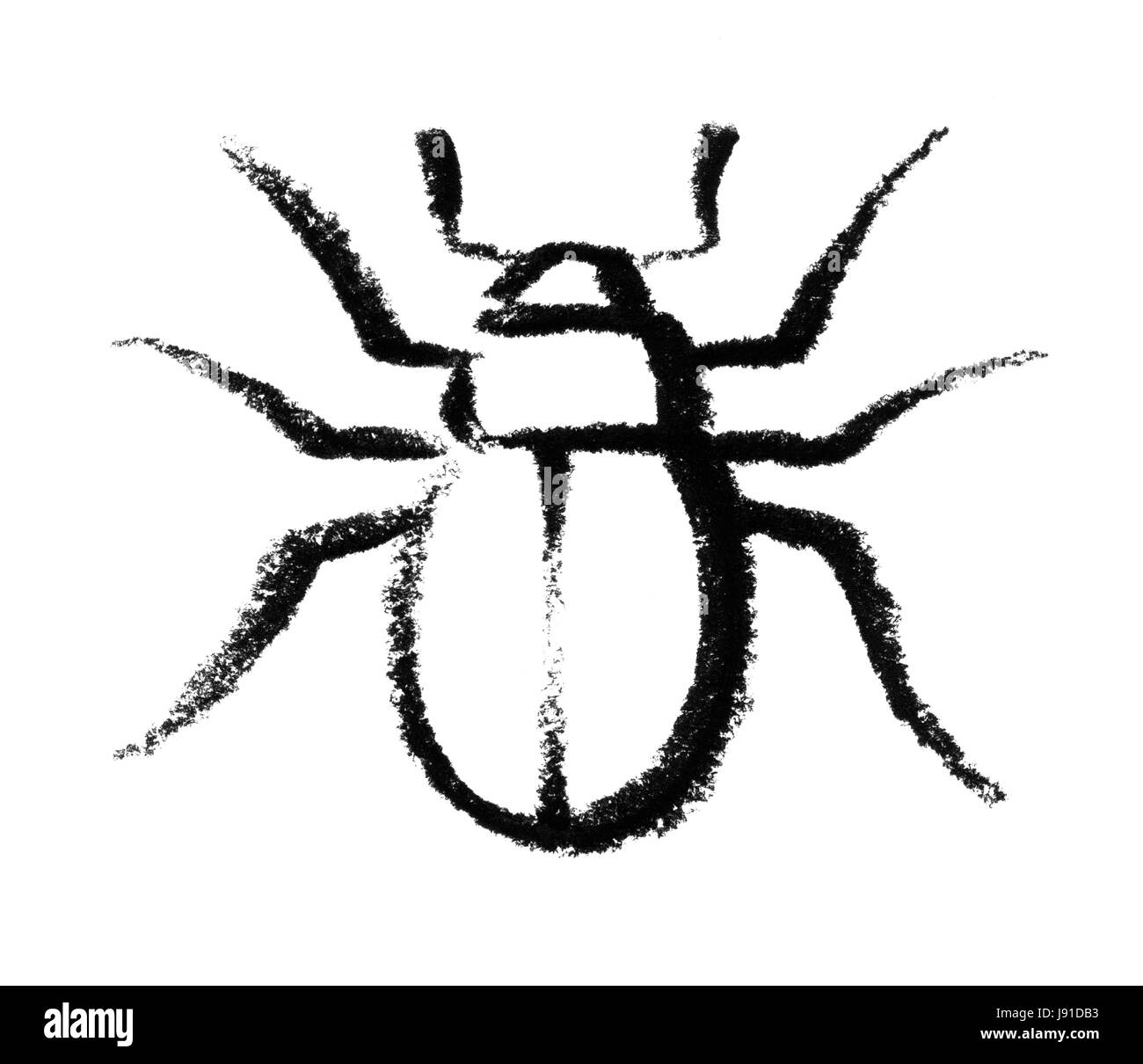 sketched beetle Stock Photo