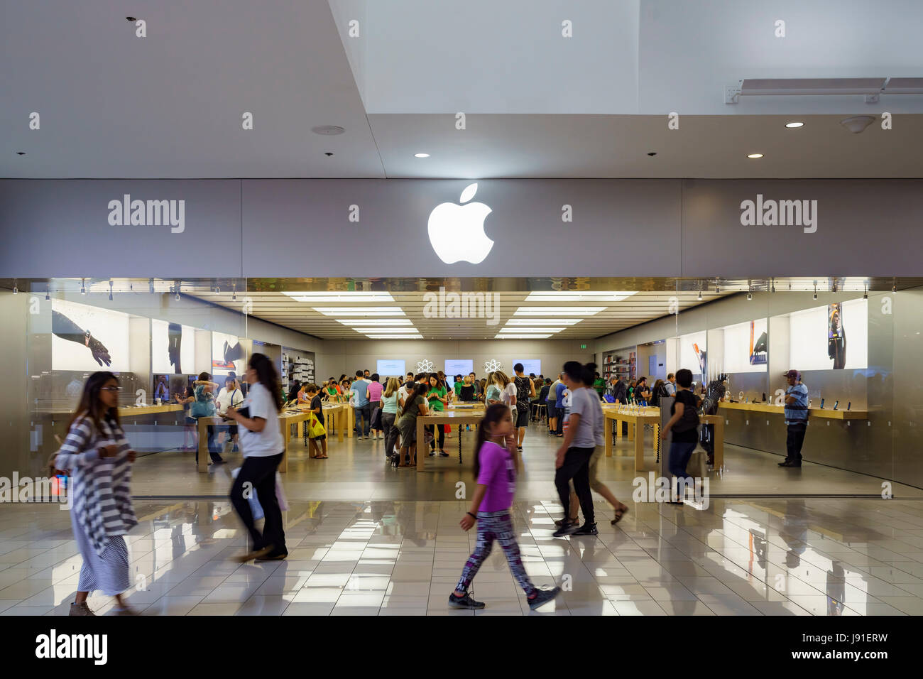 10+ Apple Store Florida Stock Photos, Pictures & Royalty-Free Images -  iStock