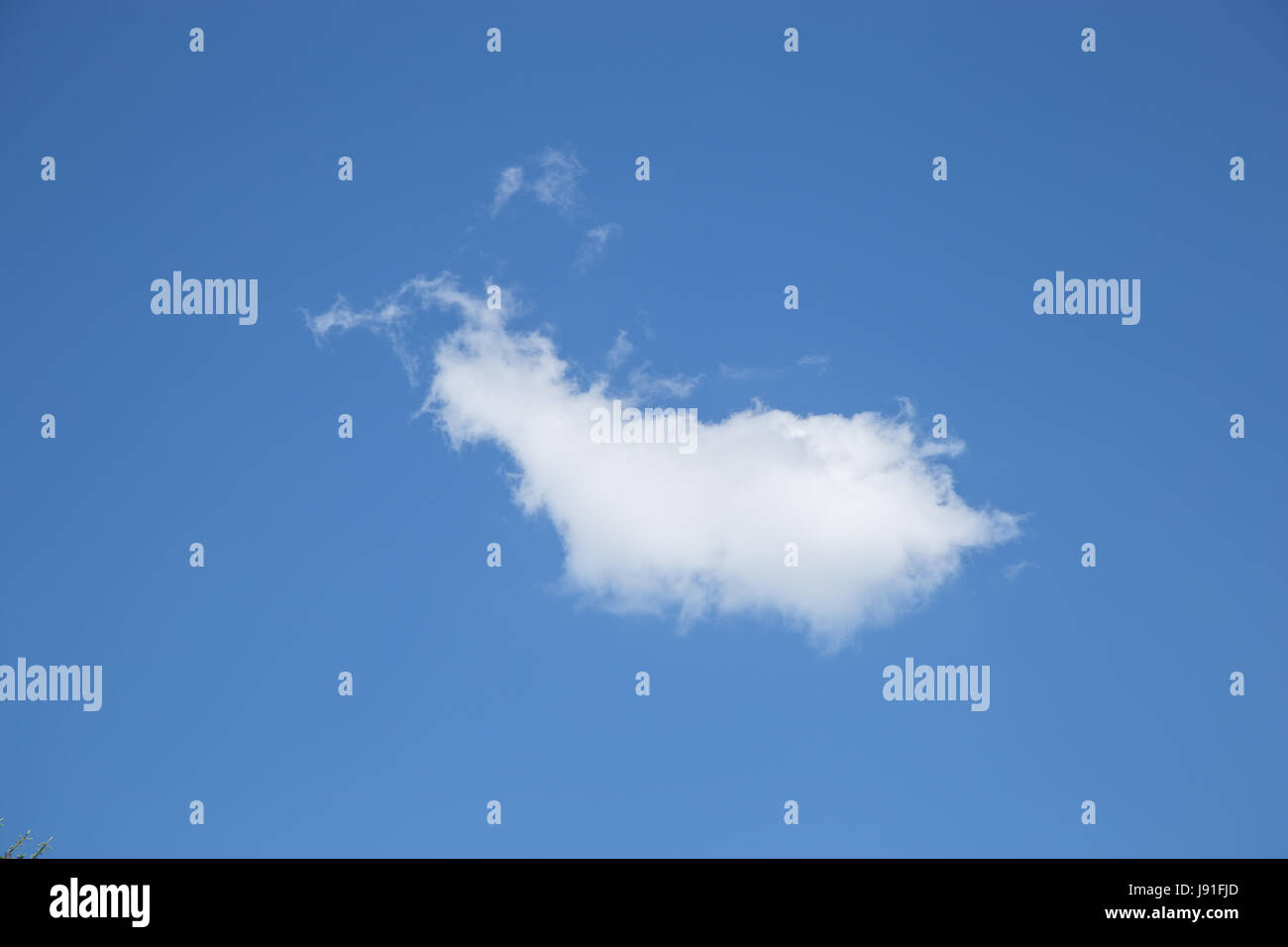 Cloud - clear blue skies Stock Photo