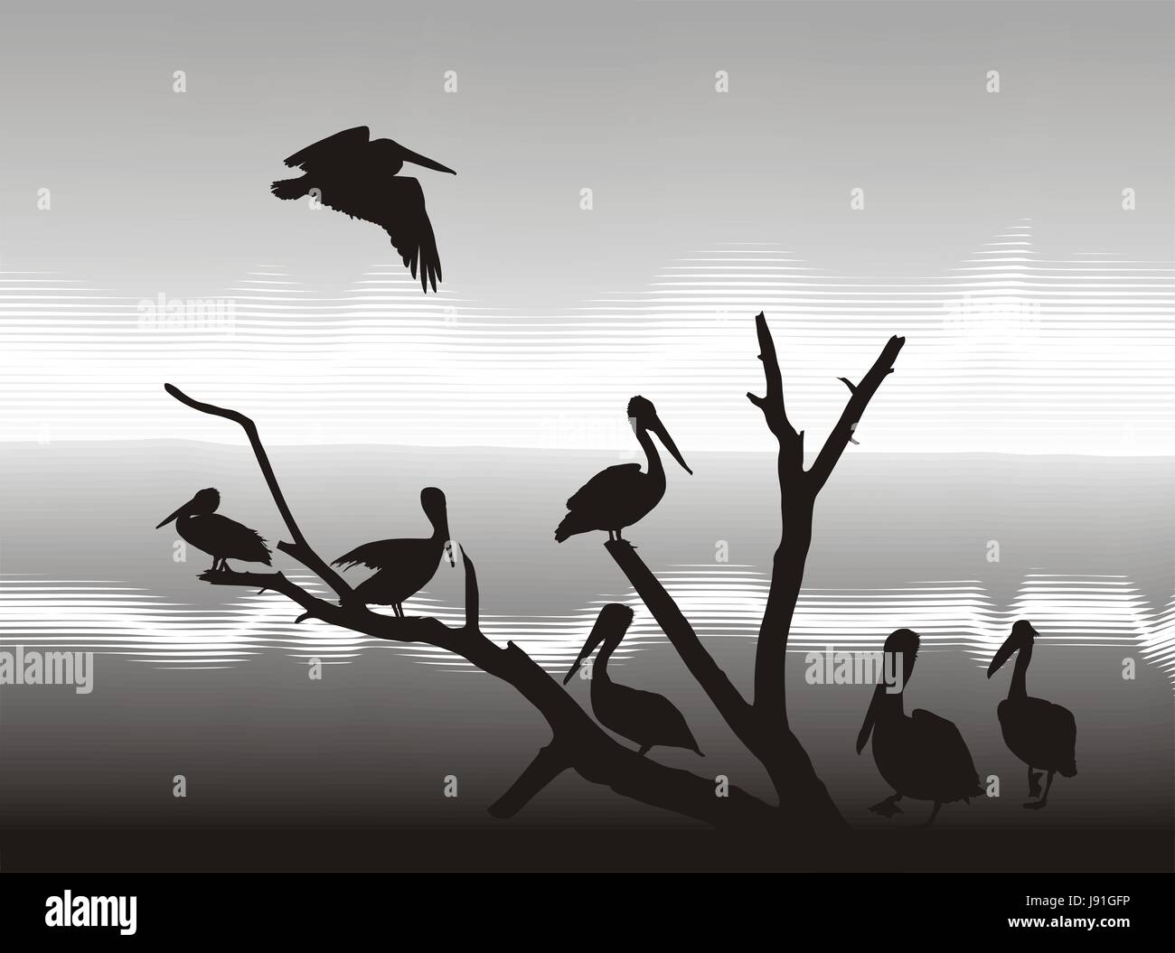 animals, birds, beak, shape, design, shaping, formation, model, figure ...