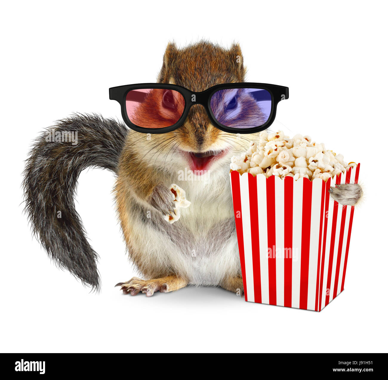 Funny animal chipmunk watching movie with popcorn and glasses Stock Photo