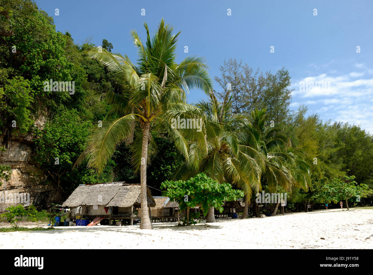 beach, seaside, the beach, seashore, palms, thailand, cocos, palmtrees, blue, Stock Photo