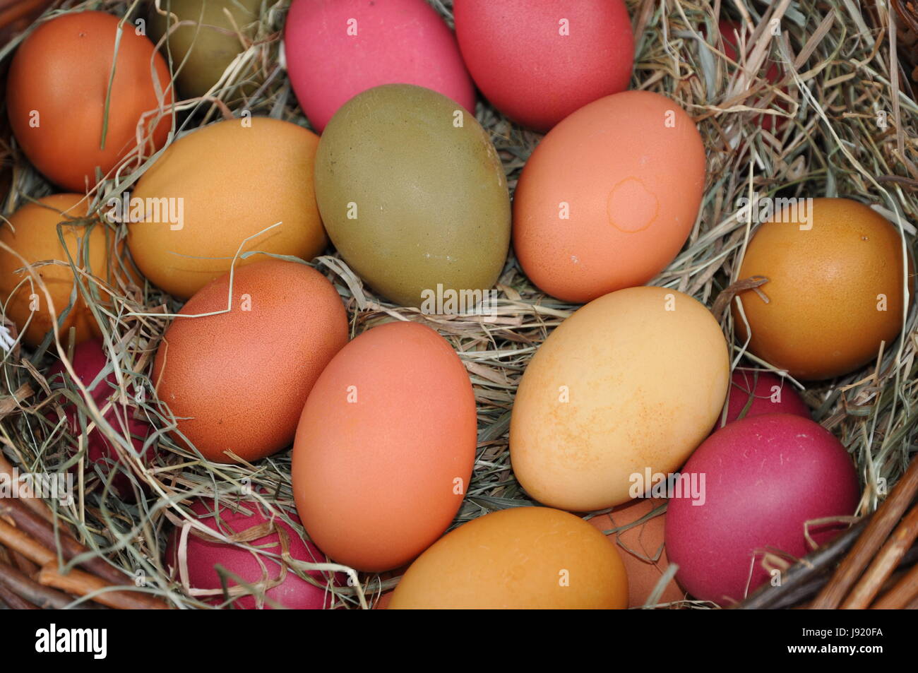 coloured, colourful, gorgeous, multifarious, richly coloured, easter, easter Stock Photo