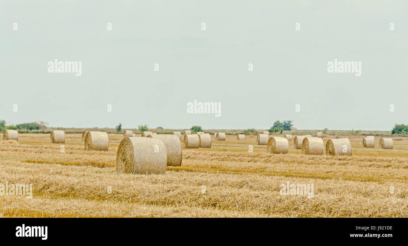 Countryside field with hay bales, baler, blue cloudy sky Stock Photo ...