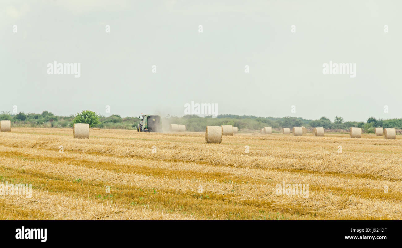 Countryside field with hay bales, baler, blue cloudy sky Stock Photo ...
