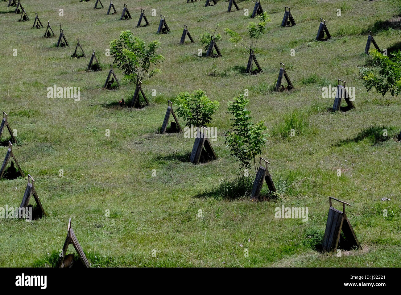 View of a Sabong cockfighting game farm in the island of Bohol located in the Central Visayas region of the Philippines Stock Photo