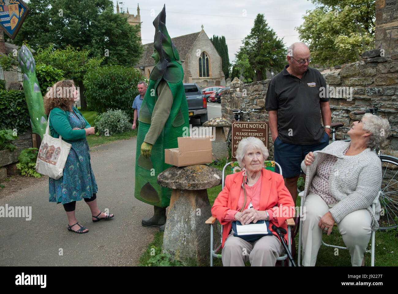 Asparagus auction festival, a man dressed as an asparagus. The Fleece Inn, Bretforton, Vale of