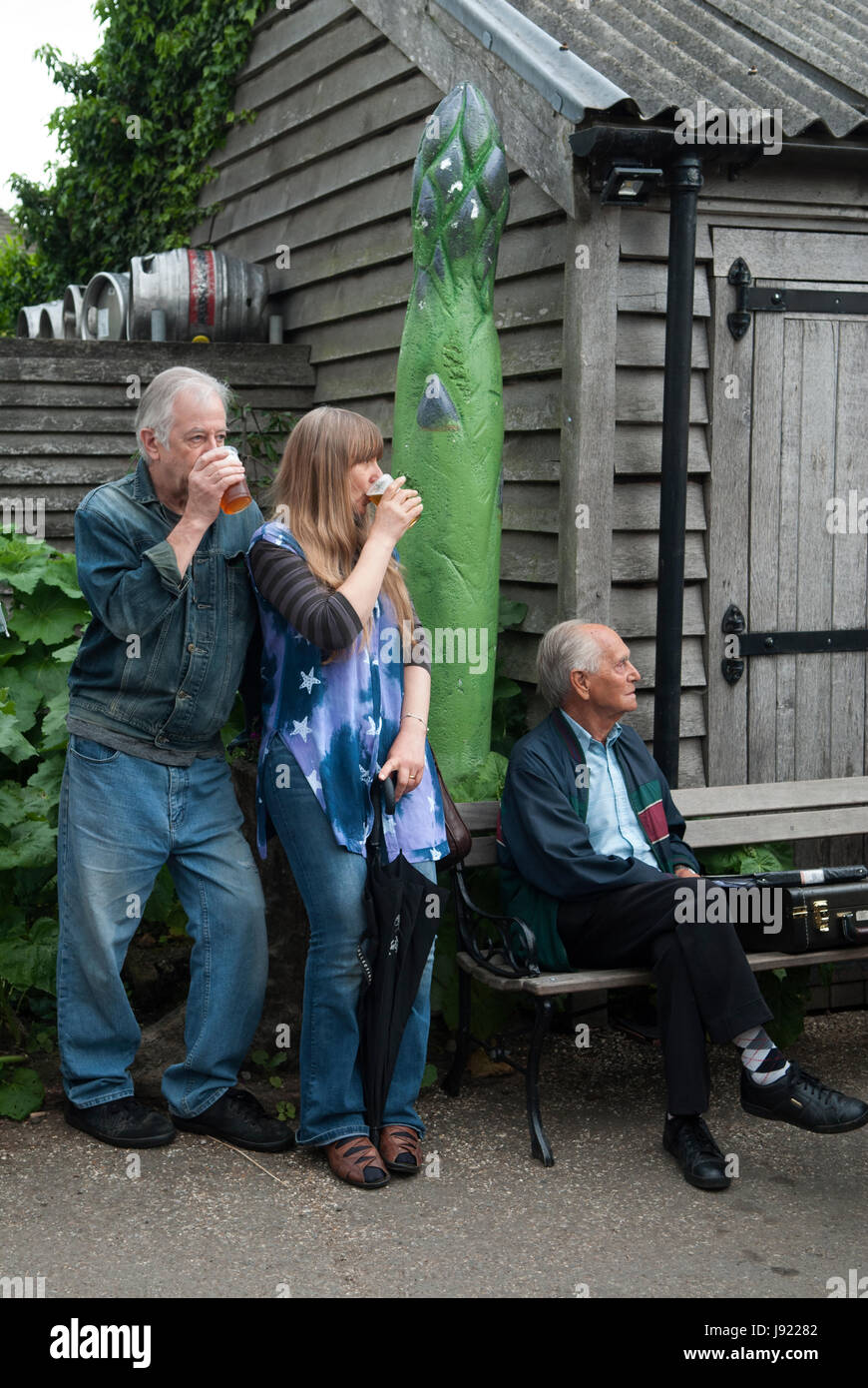 Asparagus auction festival The Fleece Inn, Bretforton, Vale of Evesham, Worcestershire 2017