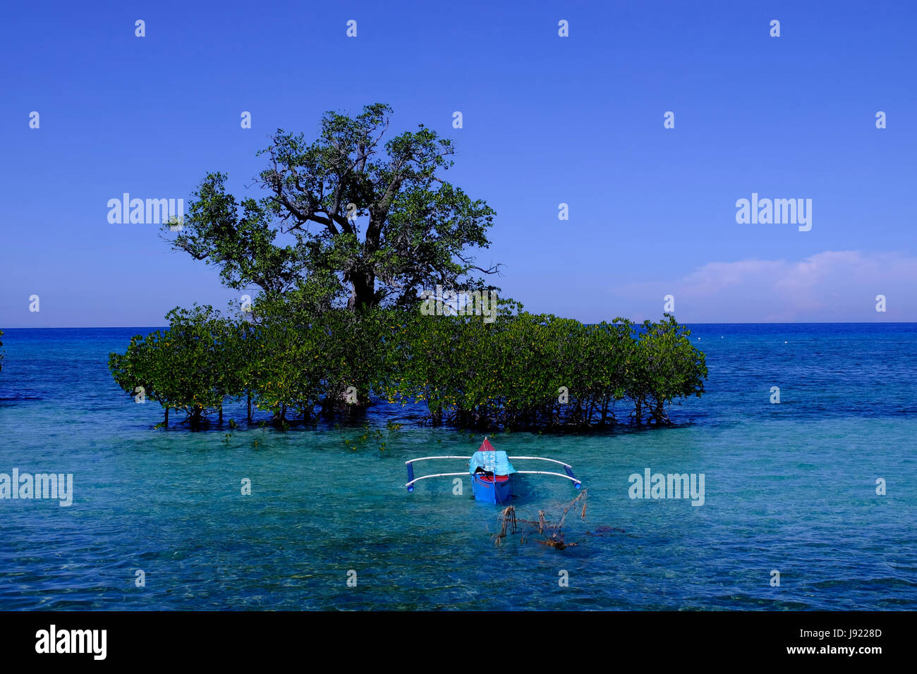 A traditional banka outrigger boat anchored by a mangrove tree at the northwest seashore of Siquijor located in the Central Visayas region of the Philippines Stock Photo