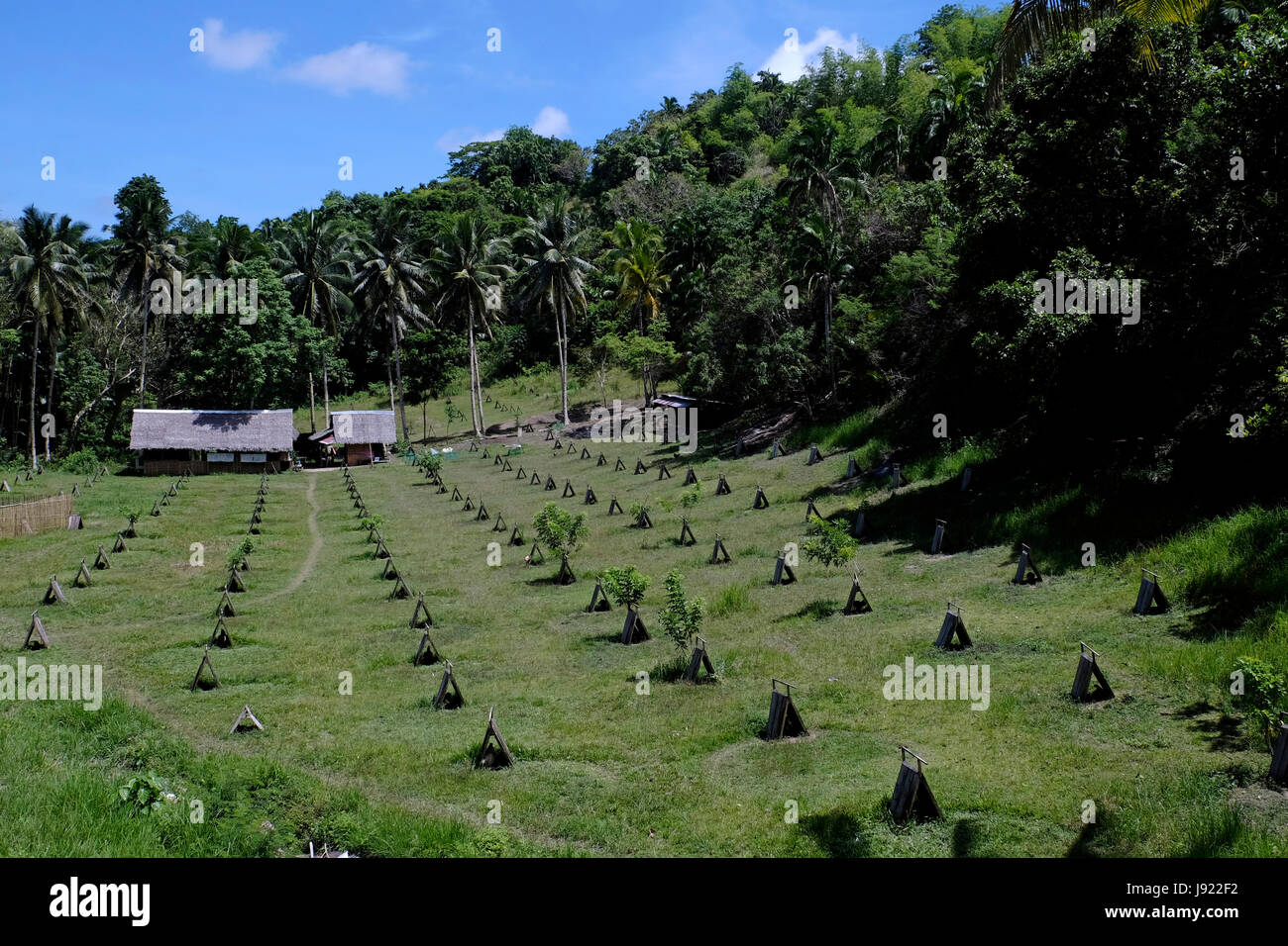 View of a Sabong cockfighting game farm in the island of Bohol located in the Central Visayas region of the Philippines Stock Photo