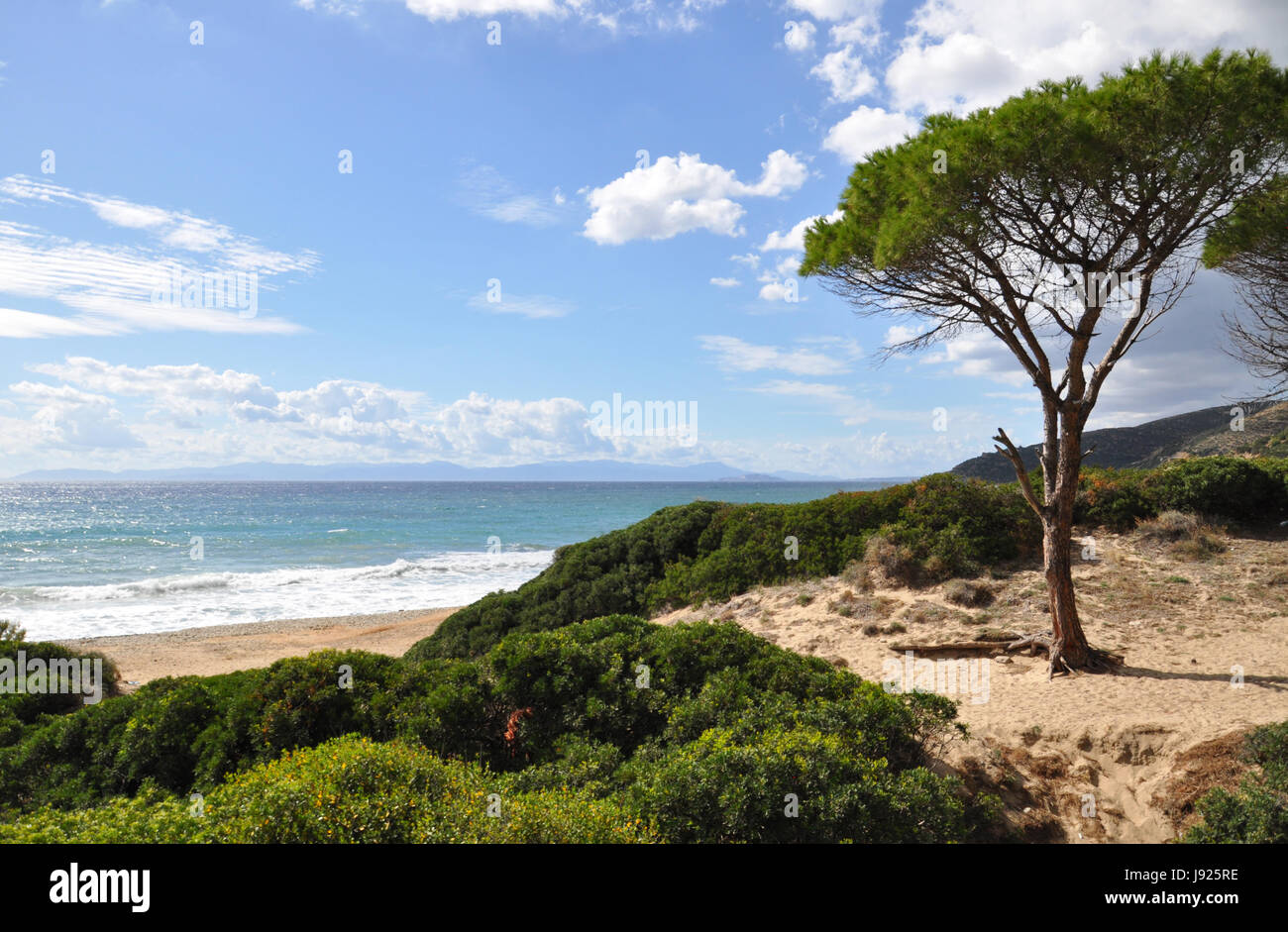 Beautiful Costa Rei beach view with pine trees and grenn bushes and cliffs on Sardinia island in Italy Stock Photo