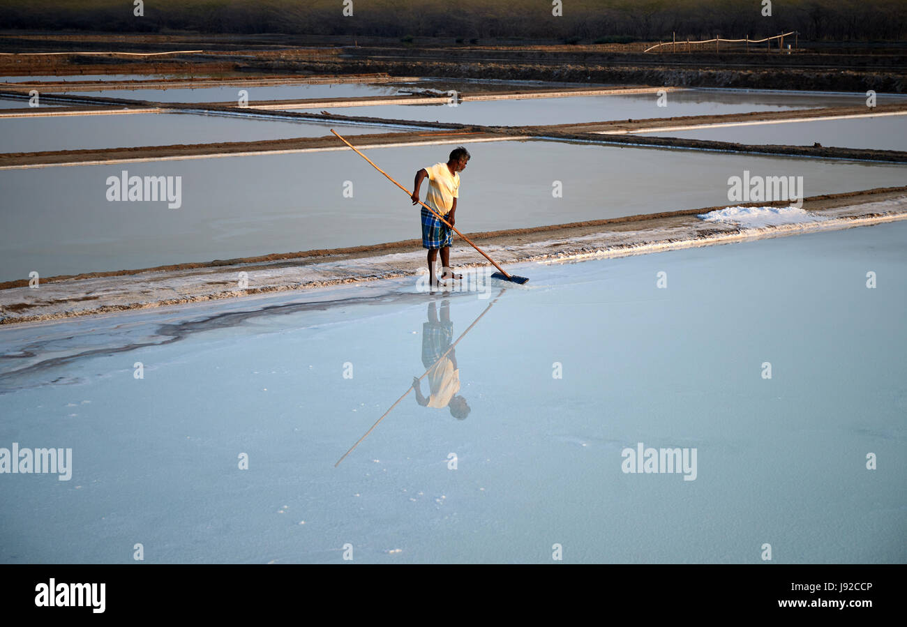 Salt pans on tuticorin Salt Lake, India. It is India's largest saline