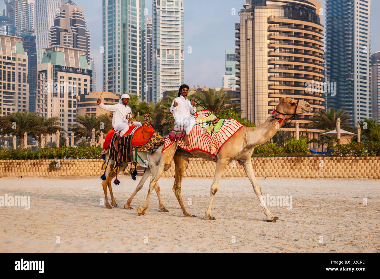 Camel ride in the Jumeirah beach in Dubai Stock Photo