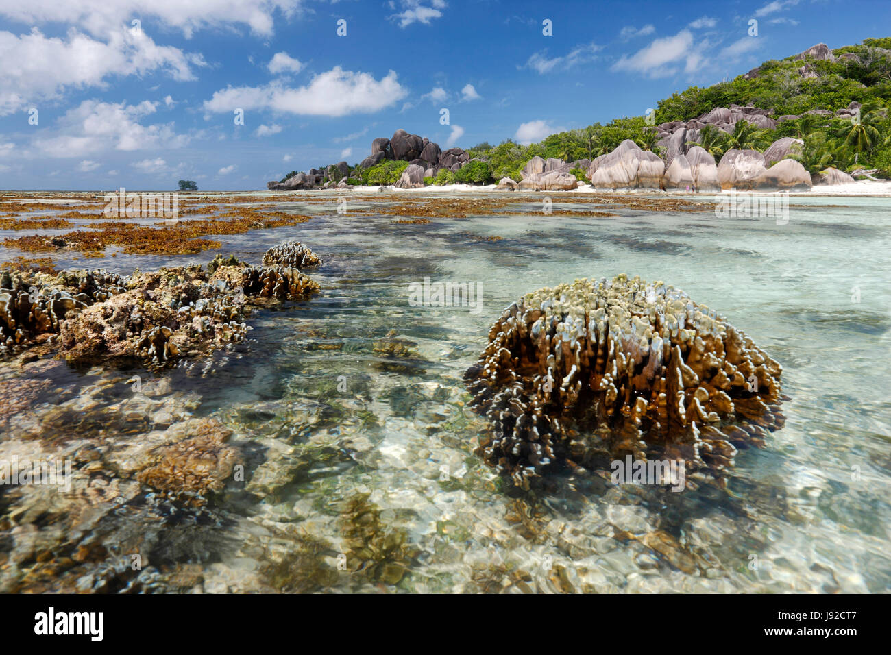 Seychelles coral reefs, La Digue island Stock Photo