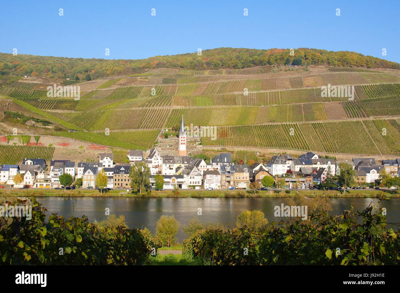 zell-merl on the moselle Stock Photo