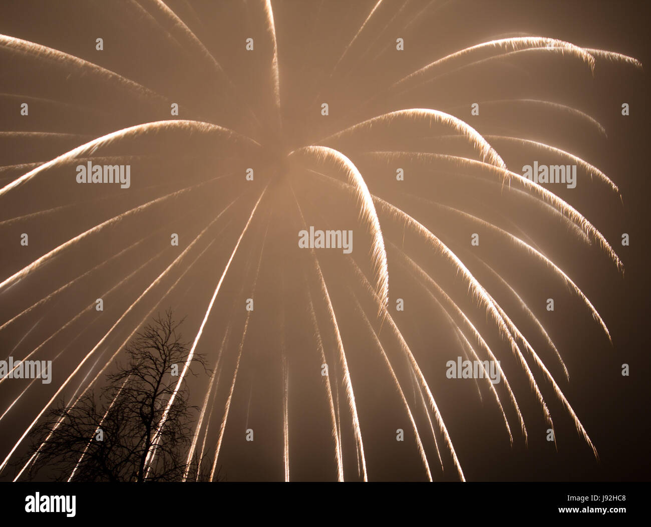 fireworks Stock Photo