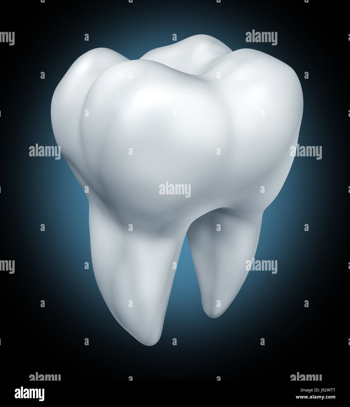 single, teeth, root, tooth, bone, means, agent, medicine, drug, remedy