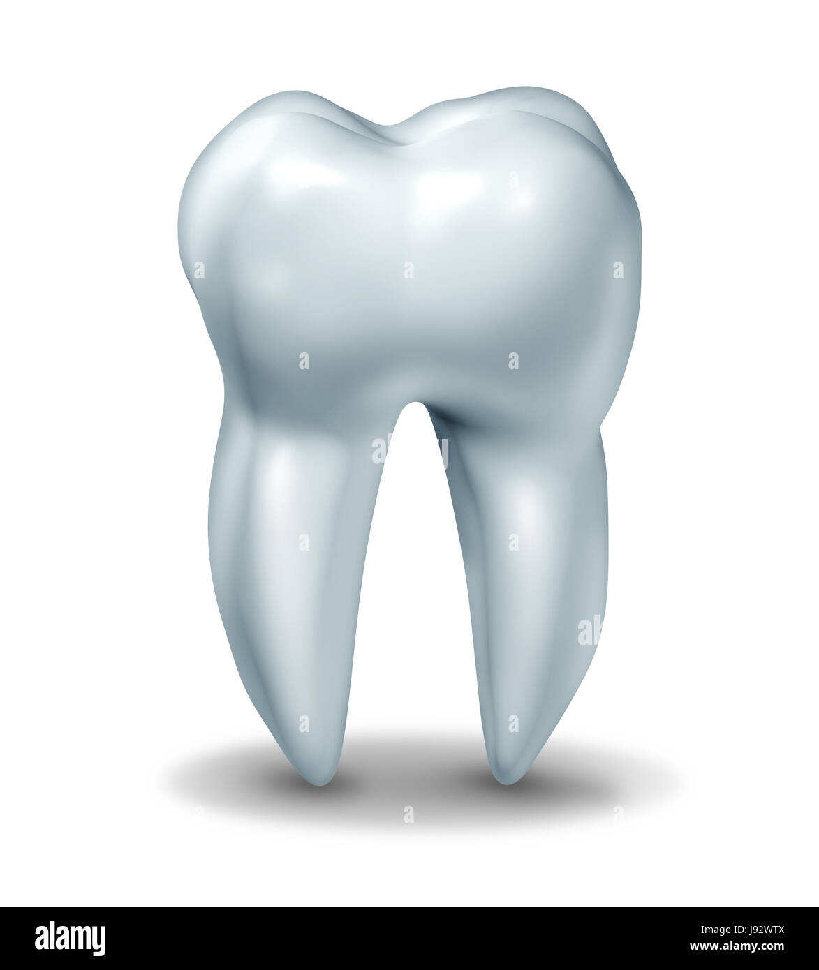 single, teeth, root, tooth, bone, means, agent, medicine, drug, remedy