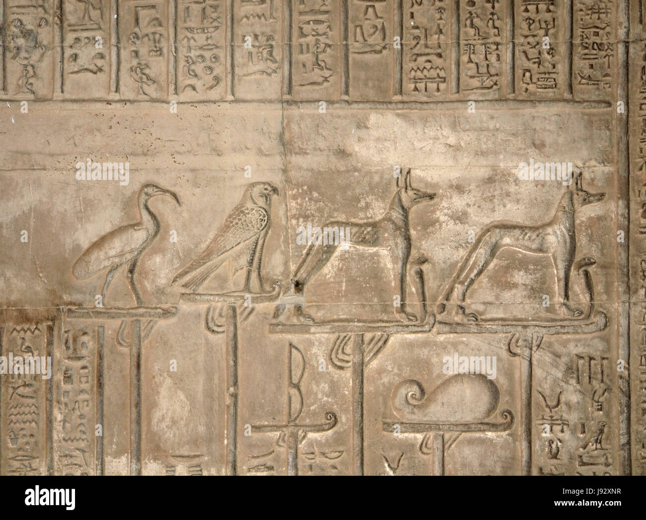 egypt, relief, macro, close-up, macro admission, close up view, historical, Stock Photo