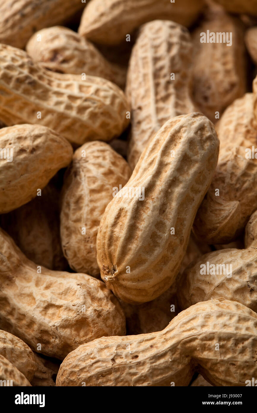 food, aliment, beans, peanuts, emblements, seeds, bean, snack, backdrop