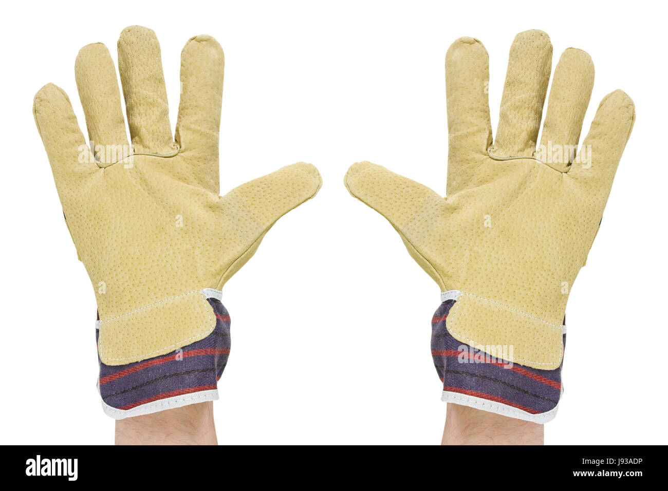 job, glove, work, factory, protect, protection, professional, labor, security, Stock Photo