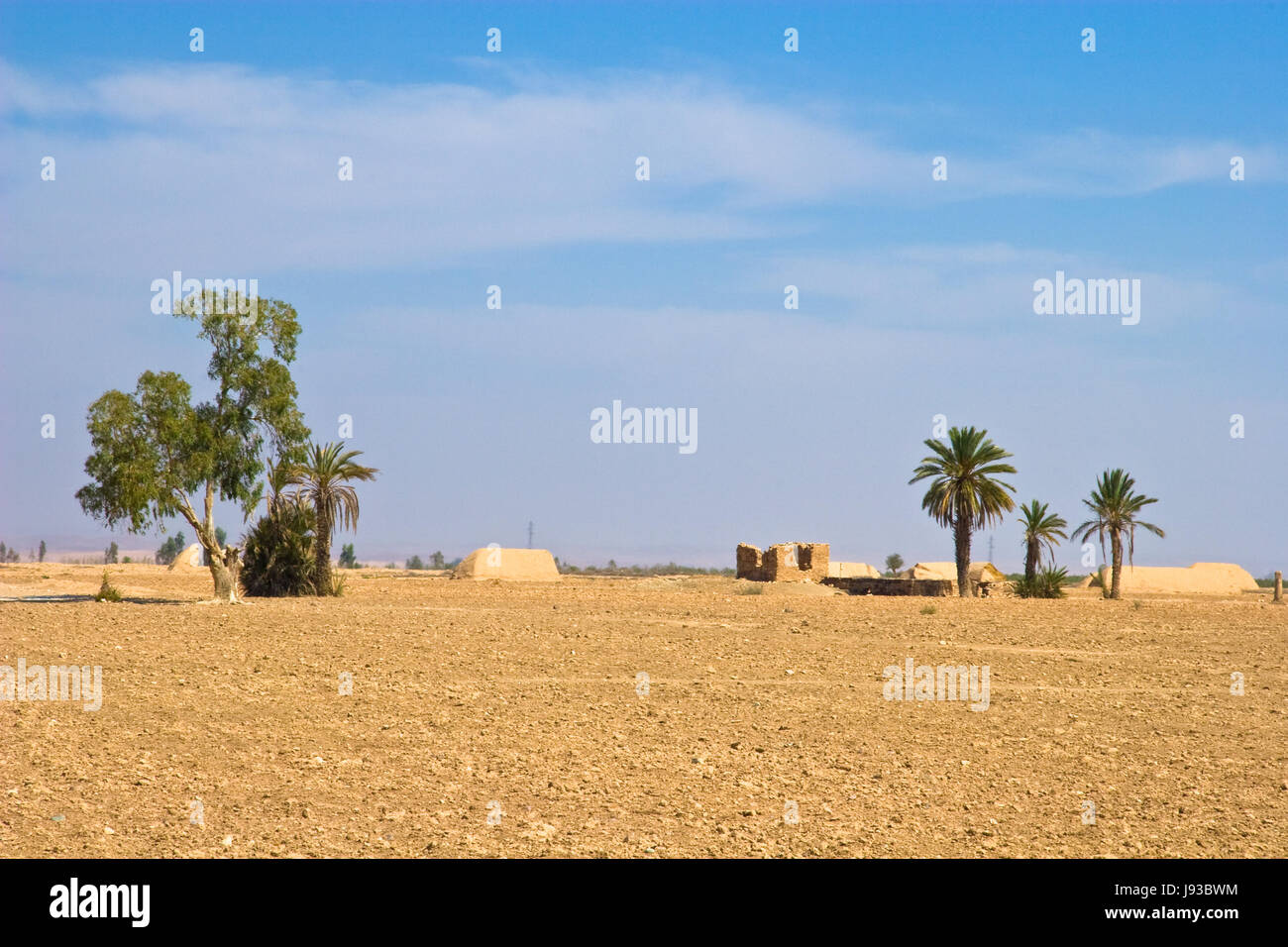 blue, tree, desert, wasteland, heaven, paradise, ground, soil, earth ...