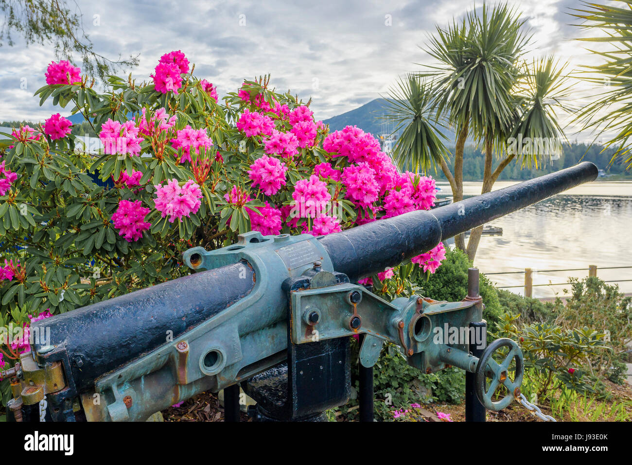 Thiepval cannon, 12 pounder gun, Ucluelet, Vancouver Island, British Columbia, Canada. Stock Photo