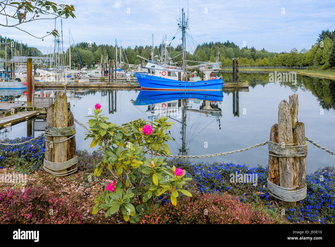 Fishing boat in harbour, Ucluelet, Vancouver Island, British Columbia, Canada. Stock Photo