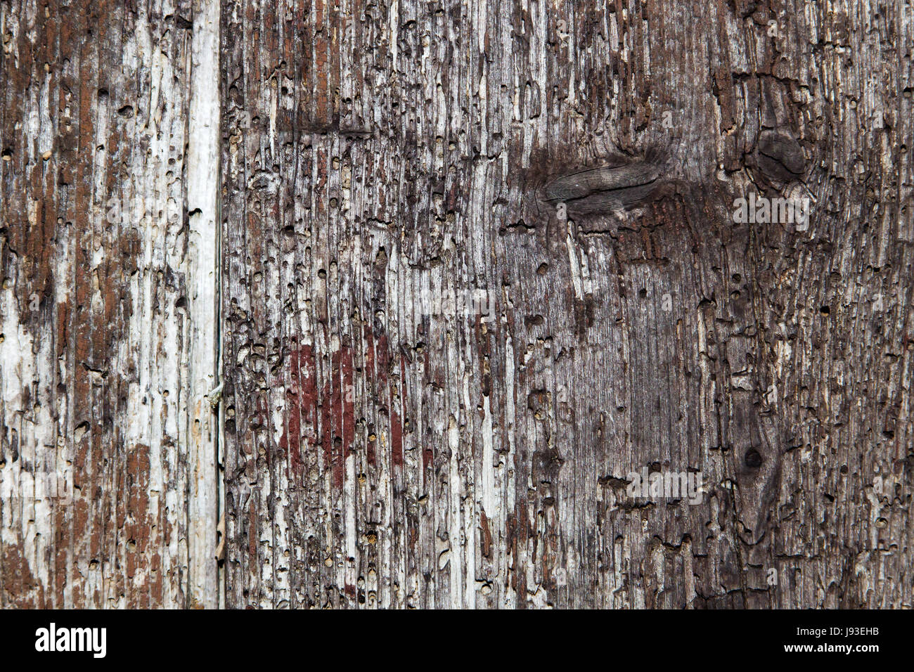 garden, wood, facade, fence, fence in, fencing, abstract, gardens ...