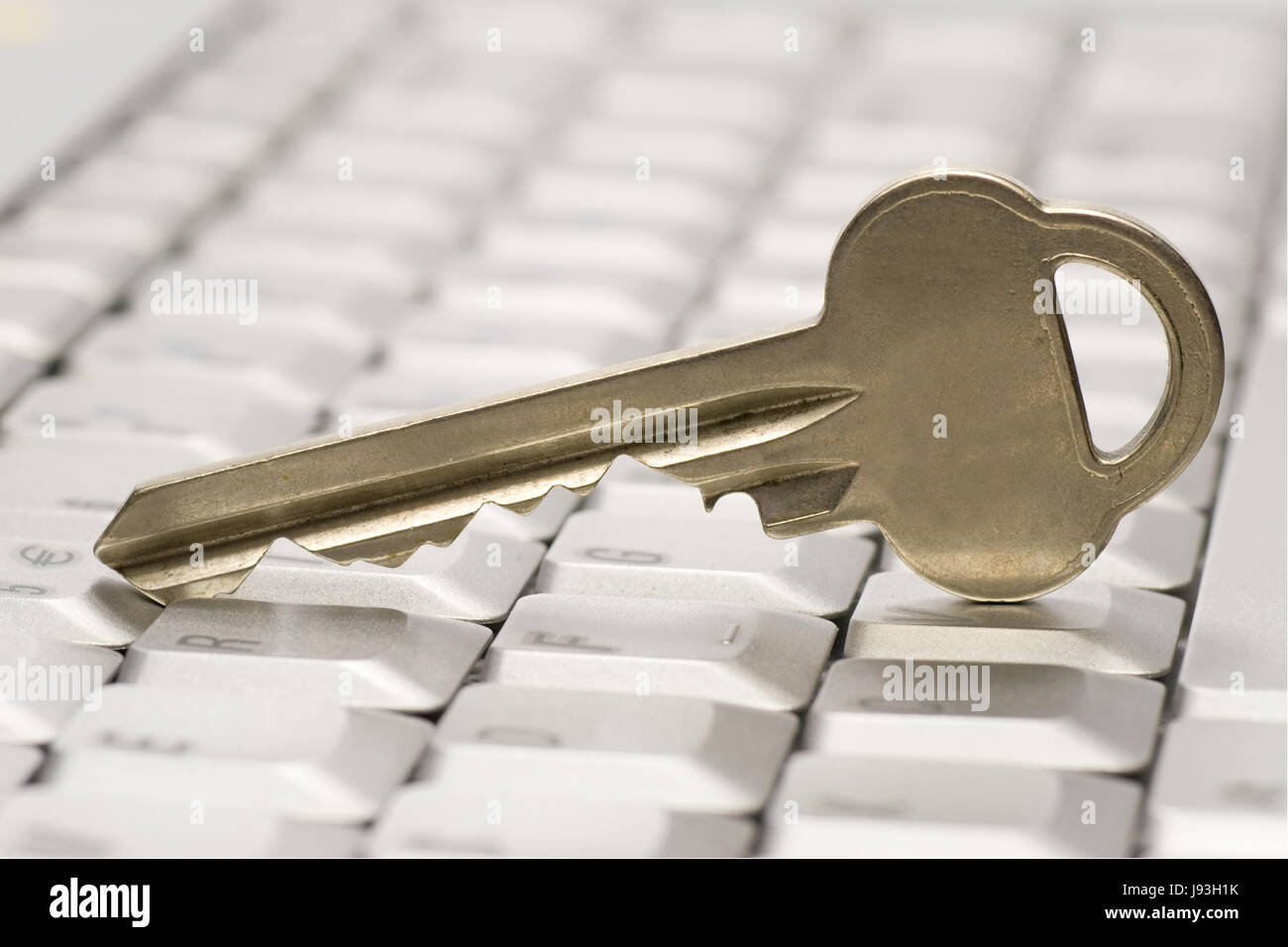 laptop, notebook, computers, computer, keyboard, model, design, project, Stock Photo