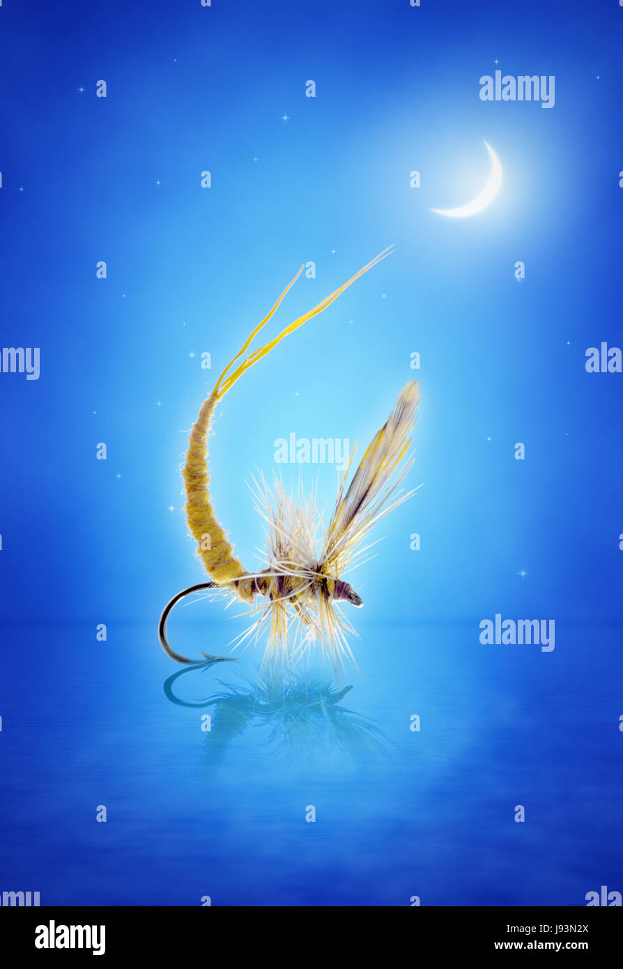 Moon Fly Insect Moon bound hi-res stock photography and images - Alamy