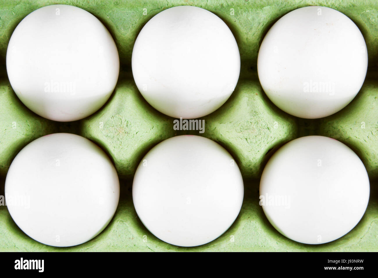 green, blank, european, caucasian, container, eggs, cardboard, carton