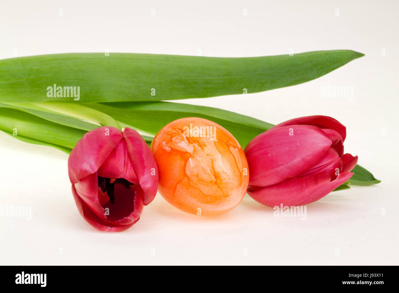 food, aliment, coloured, spring, flower, plant, tulip, easter egg, egg, Stock Photo