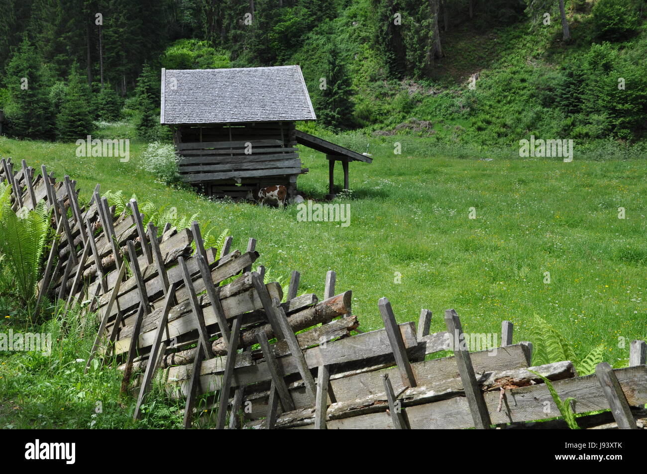 alp, fence, fence in, fencing, alp meadow, wooden fence, lodge, hut, alps, Stock Photo