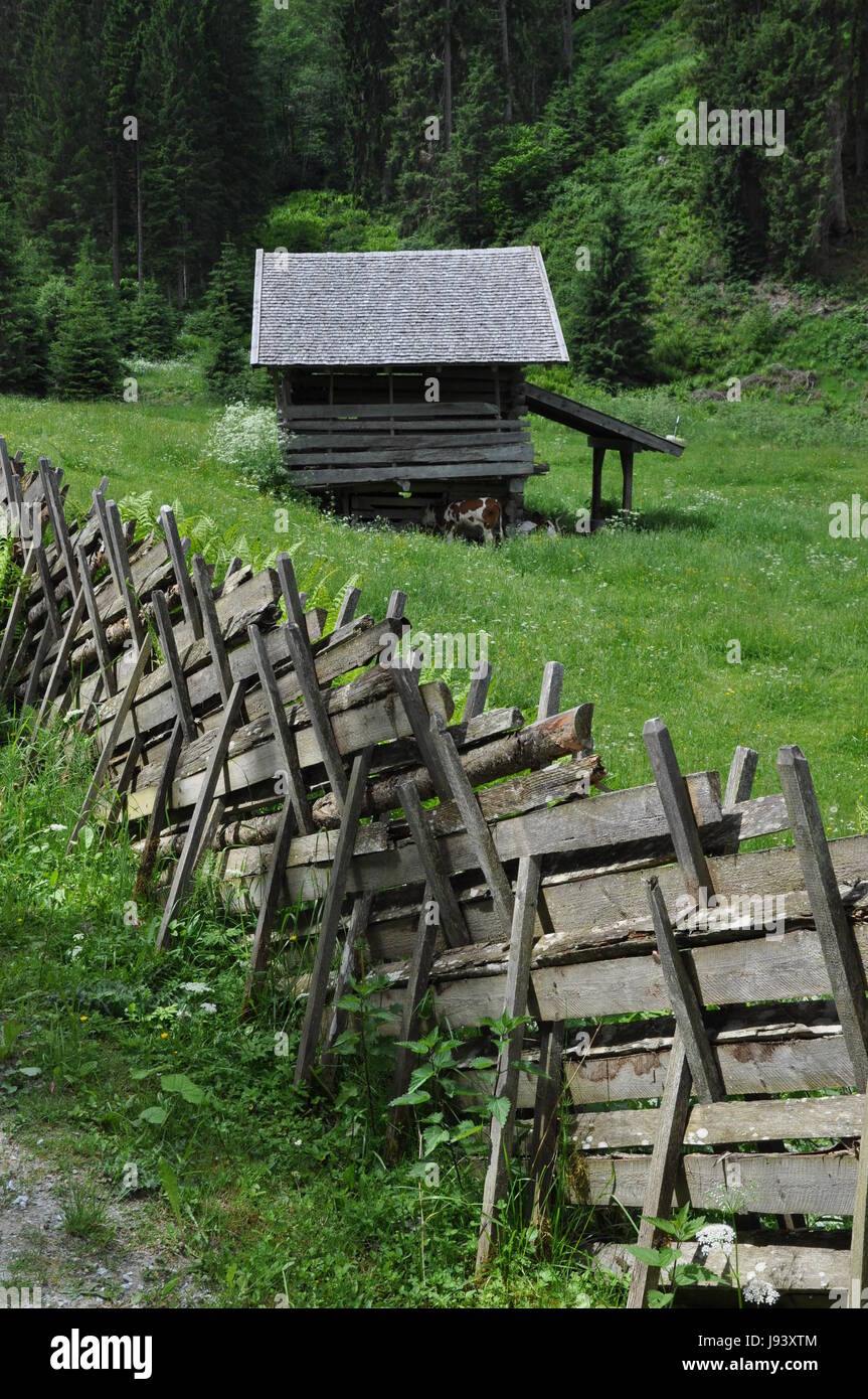 alp, fence, fence in, fencing, alp meadow, wooden fence, lodge, hut, alps, Stock Photo
