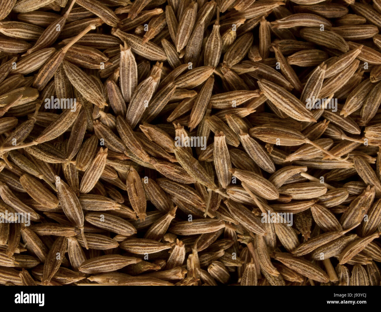 spice, aromatic, dried, emblements, seeds, flavor, cumin, ingredient