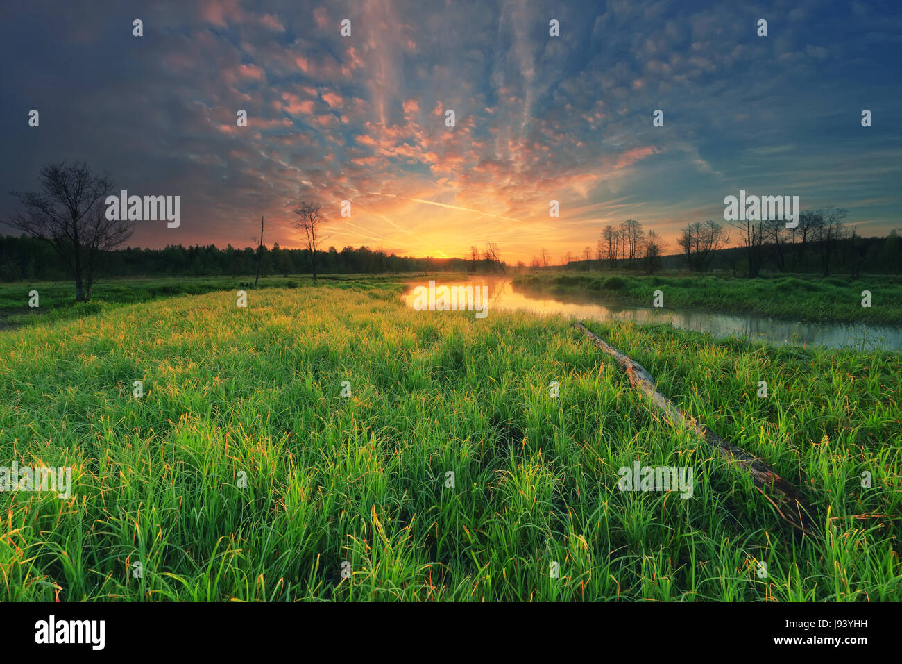 Beautiful morning sunrise. Green grass in morning light. Natural scene with green valley and colorful sky. Stock Photo
