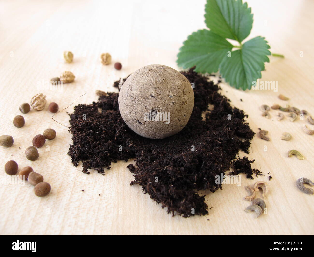 seed ball Stock Photo Alamy