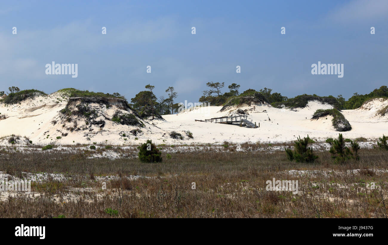 Remnants of a boardwalk  on a mature sand dune in Florida Stock Photo