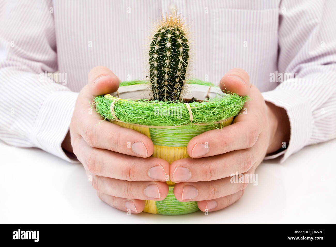 hand, hands, protect, protection, cactus, ecology, floral, plant, nature, care, Stock Photo
