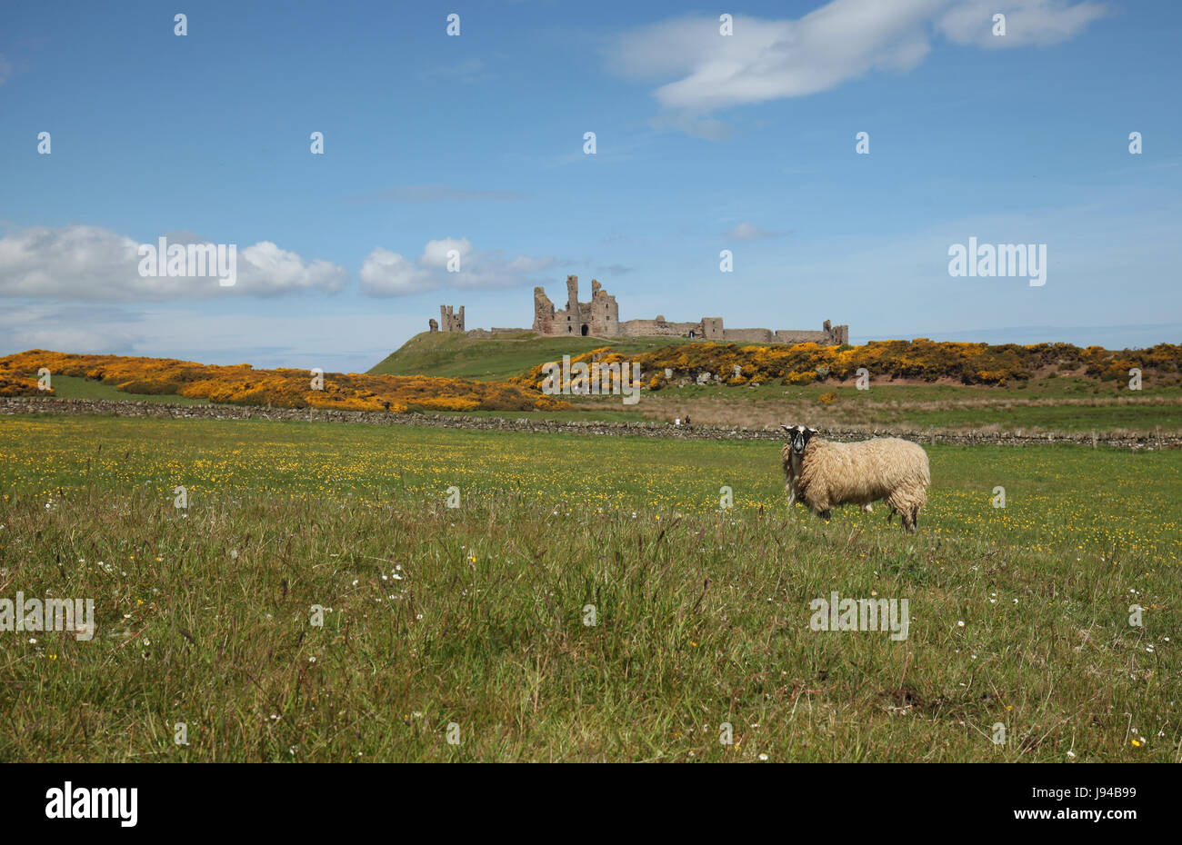 Dunstanburgh Castle Northumberland Stock Photo