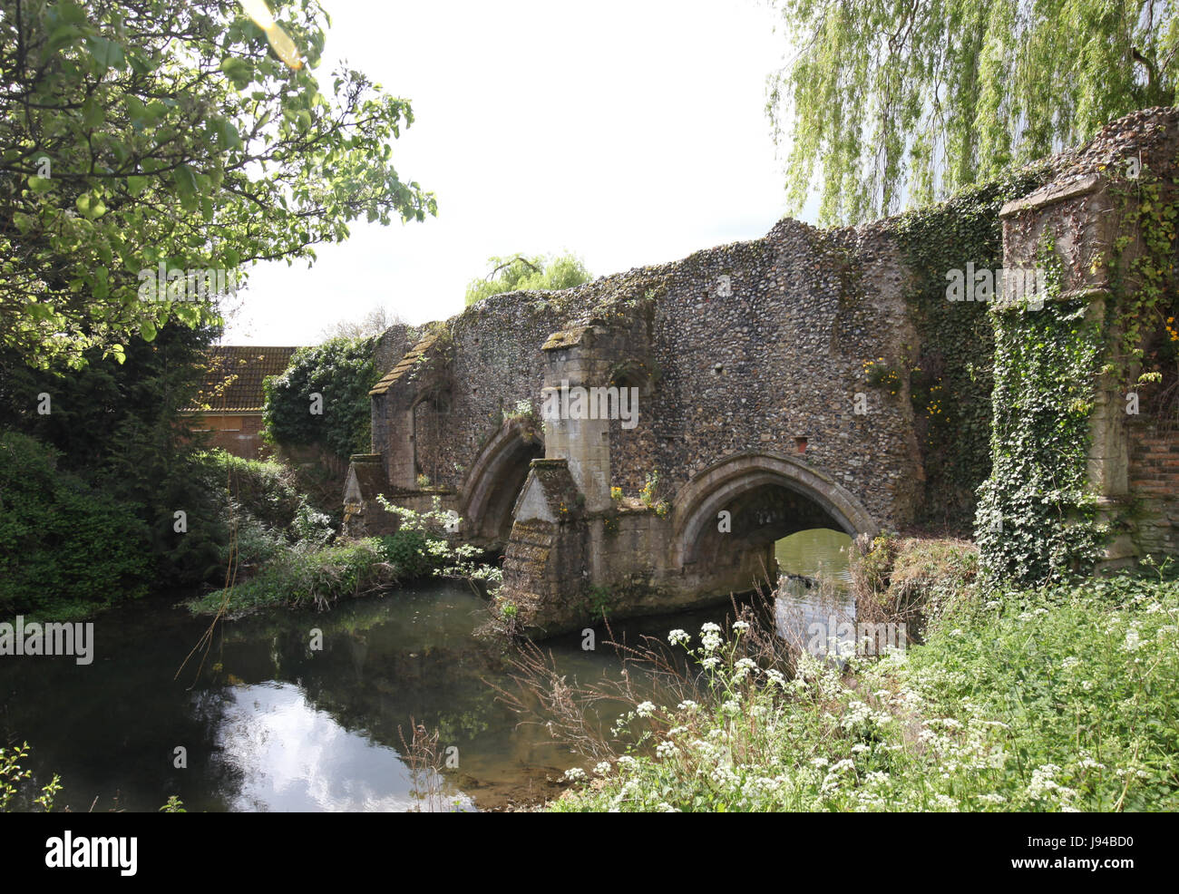 Abbey Gardens, Bury St Edmunds, Suffolk Stock Photo