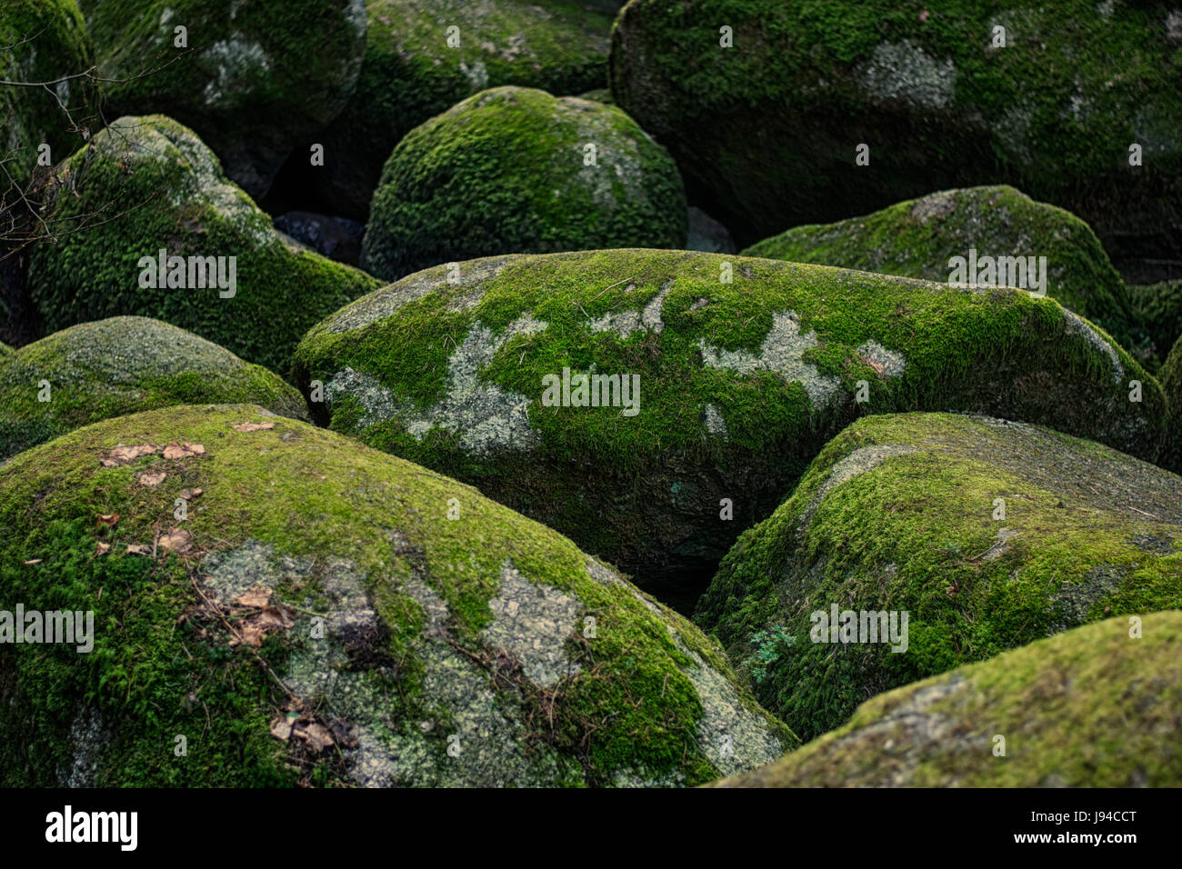 Angular edge hi-res stock photography and images - Alamy